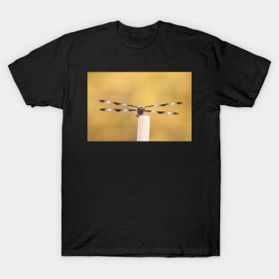 Big Bamboo T-Shirt